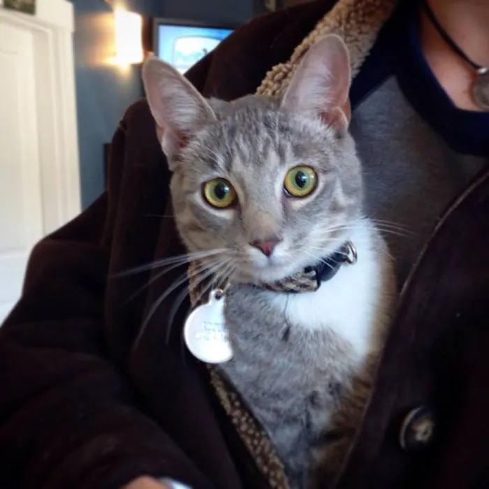 Beacon Veterinary Hospital 8