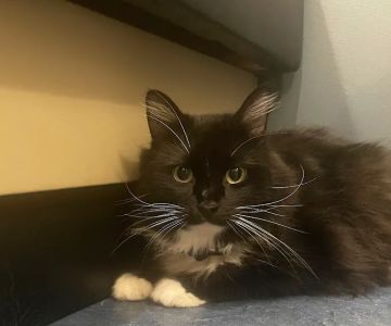 Beacon Veterinary Hospital