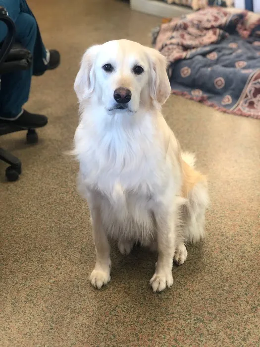 South Asheville Veterinary Emergency & Specialty 9