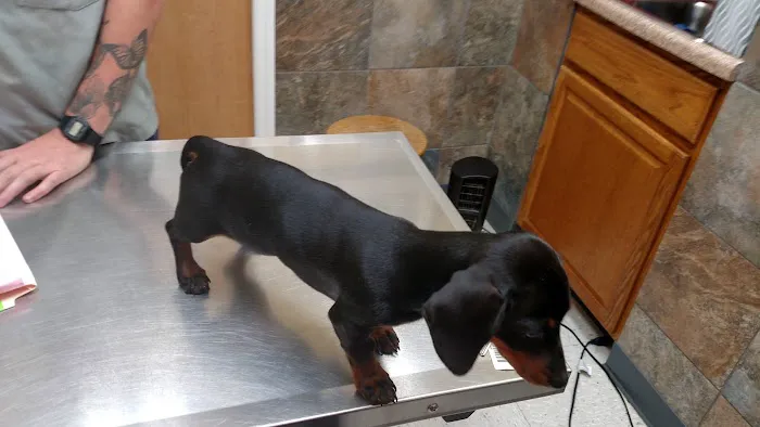 Swannanoa Valley Animal Hospital 8