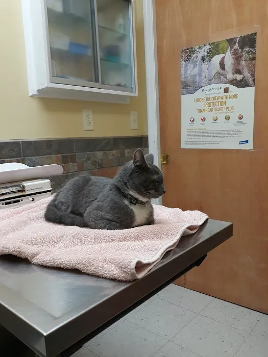 Swannanoa Valley Animal Hospital 2