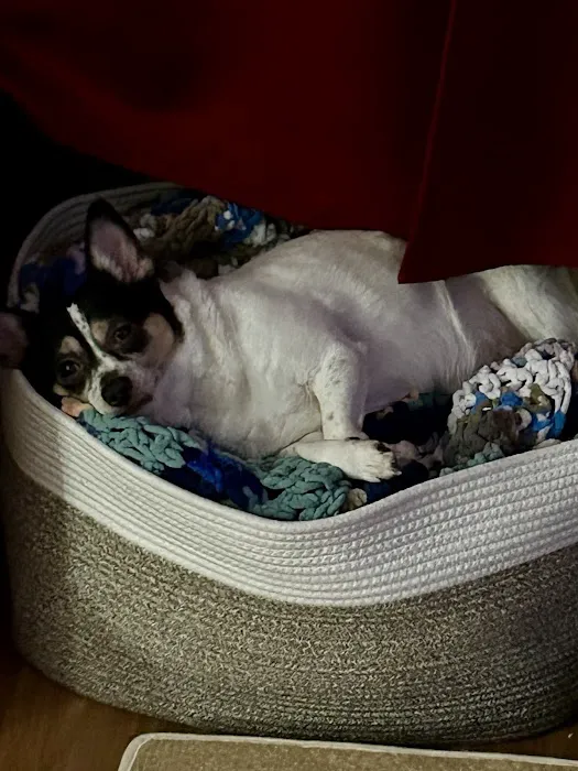 Fairview Animal Hospital 2
