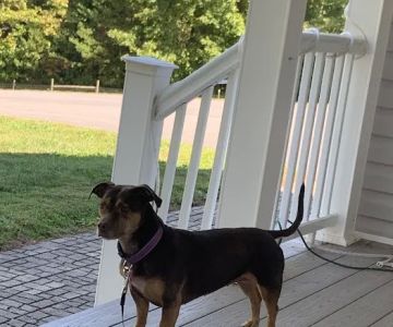 Fairview Animal Hospital