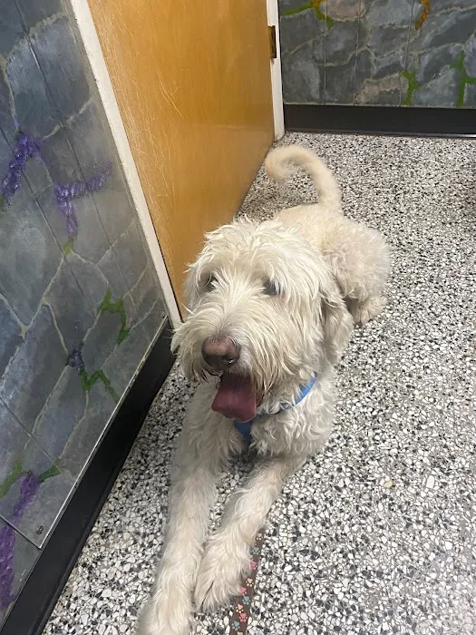 Fairview Animal Hospital 10