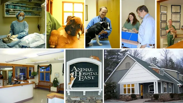 Animal Hospital East 10