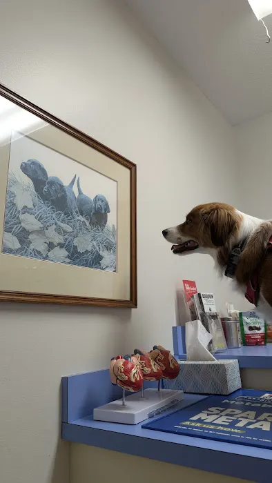 Animal Hospital East 8