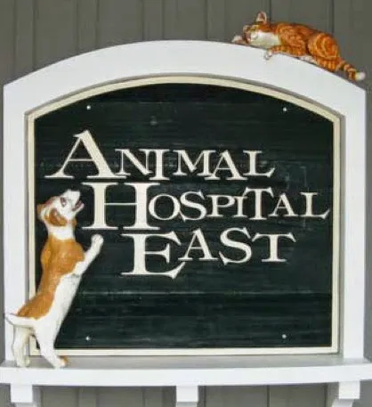 Animal Hospital East 1