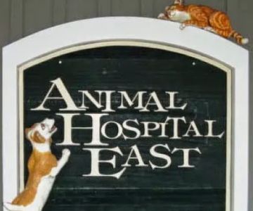Animal Hospital East