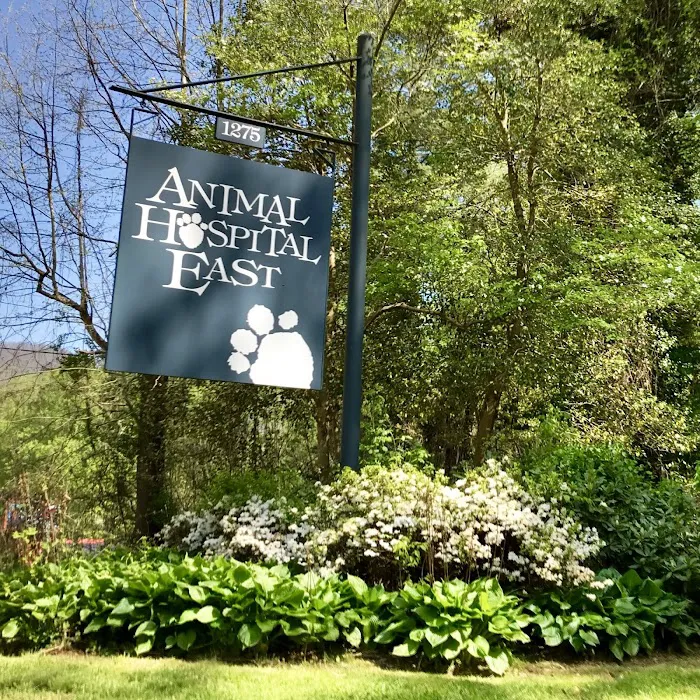 Animal Hospital East 9