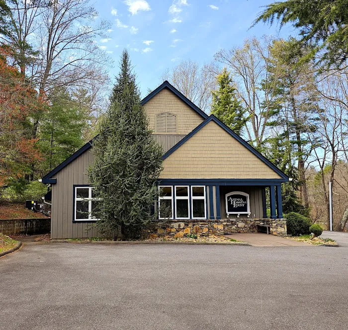 Animal Hospital East 6