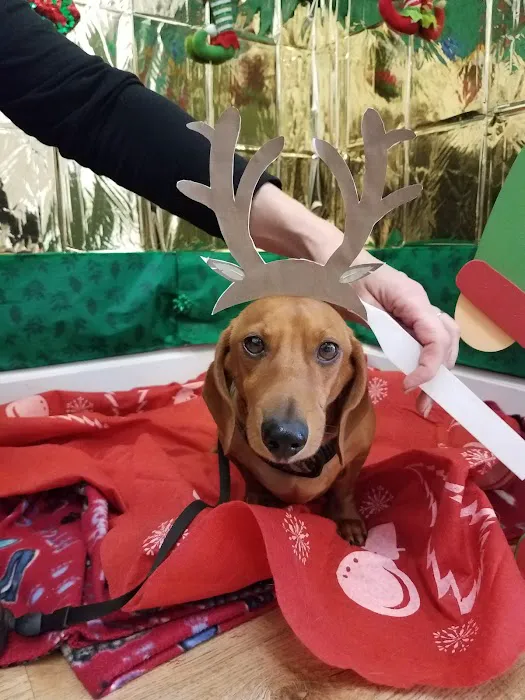 Cedar Ridge Animal Hospital 9