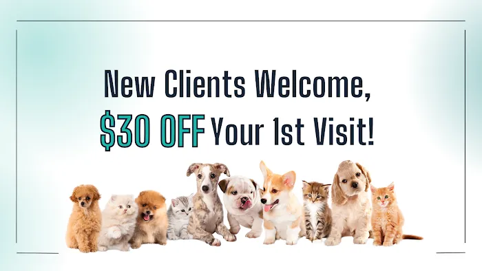 Haw Creek Animal Hospital 1