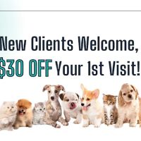 Haw Creek Animal Hospital ico