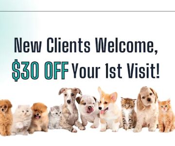 Haw Creek Animal Hospital