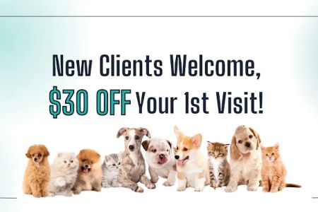 Haw Creek Animal Hospital