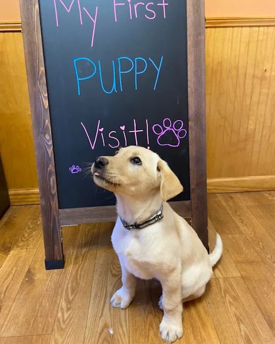 East Asheville Family Vet 3