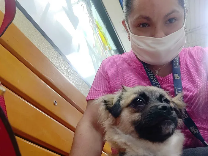 Banfield Pet Hospital 1