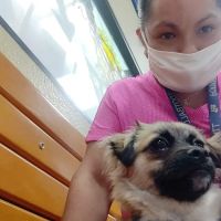 Banfield Pet Hospital ico