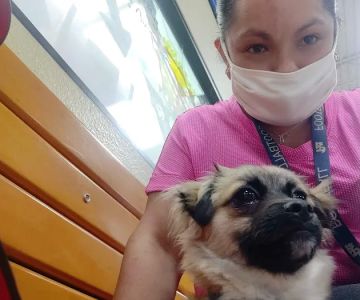 Banfield Pet Hospital
