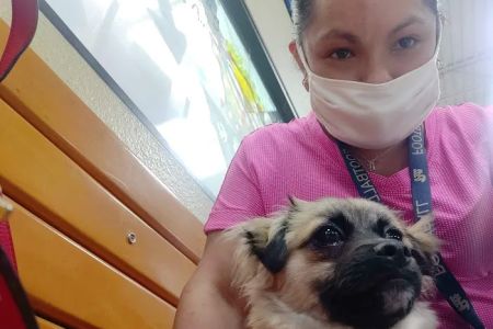 Banfield Pet Hospital
