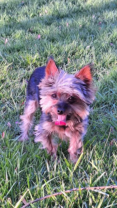 Banfield Pet Hospital 3
