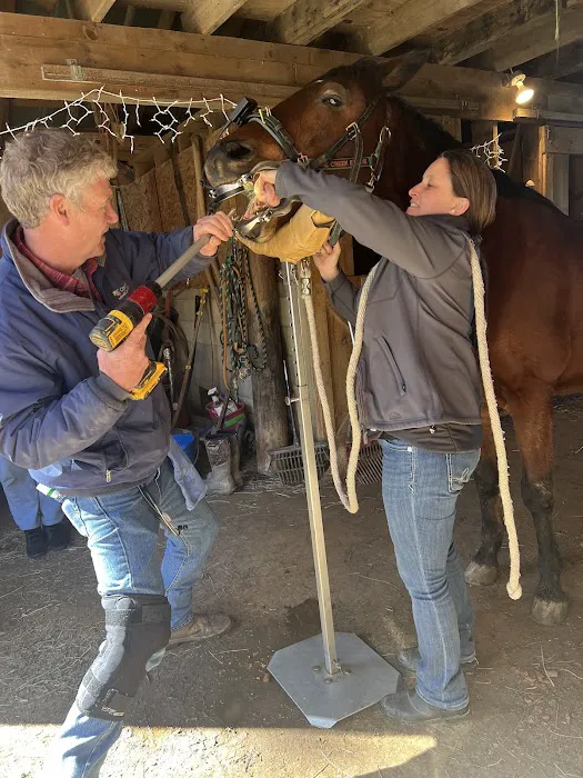 Cane Creek Animal Clinic and Equine 1