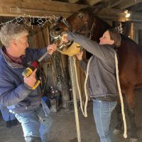 Cane Creek Animal Clinic and Equine ico