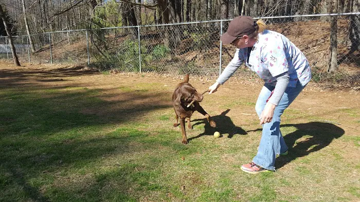 Lenoir Veterinary Hospital 1