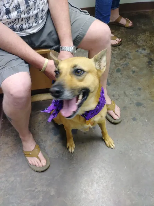 Hudson Animal Hospital 3
