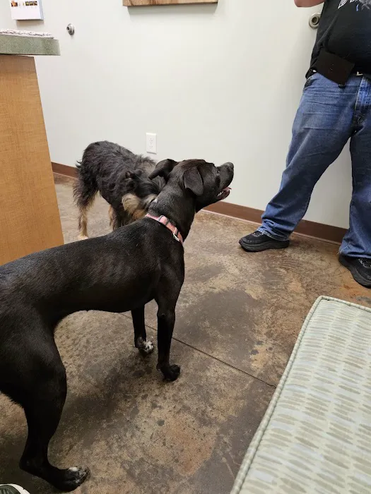Hudson Animal Hospital 1