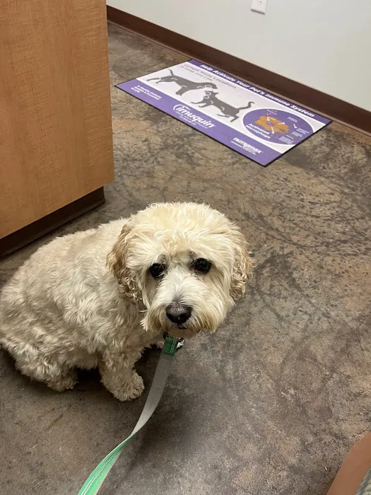 Hudson Animal Hospital 4