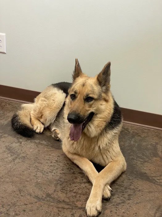Hudson Animal Hospital 2