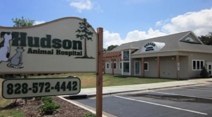 Hudson Animal Hospital 10
