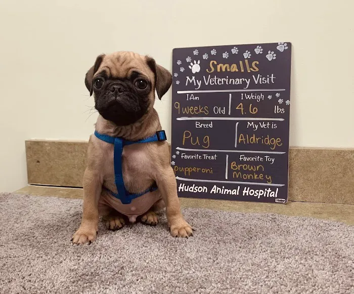 Hudson Animal Hospital 8