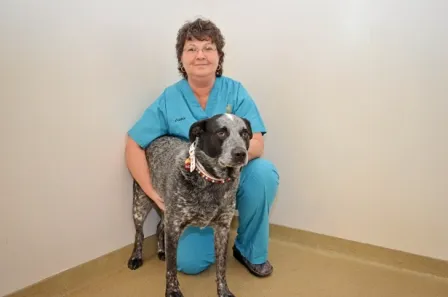 Caldwell Animal Hospital, PA 7