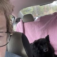 Cane River Veterinary Wellness ico