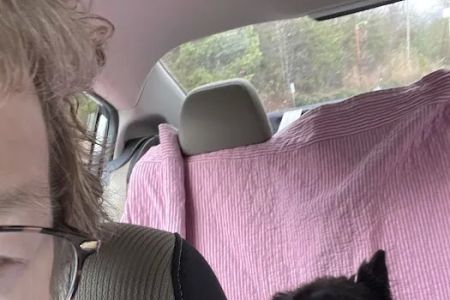 Cane River Veterinary Wellness