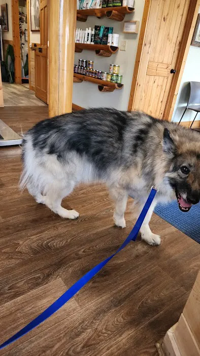 Avery Animal Hospital 4