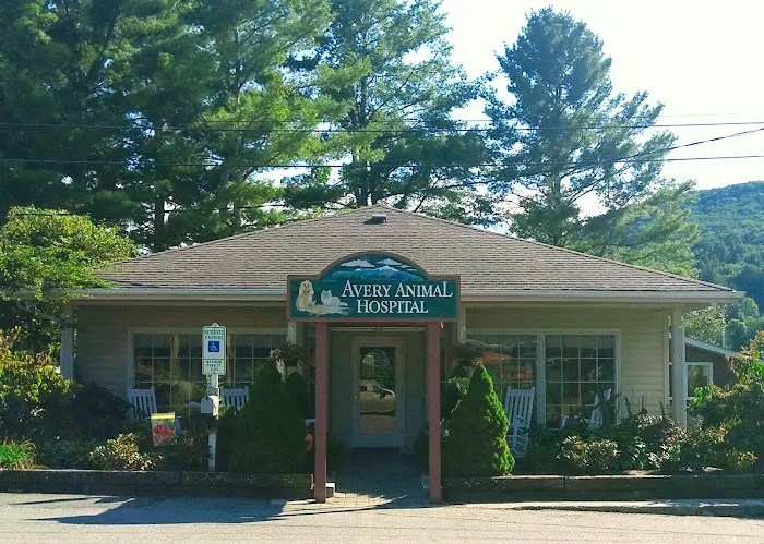 Avery Animal Hospital 8