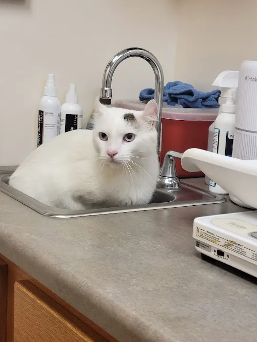 Avery Animal Hospital 10