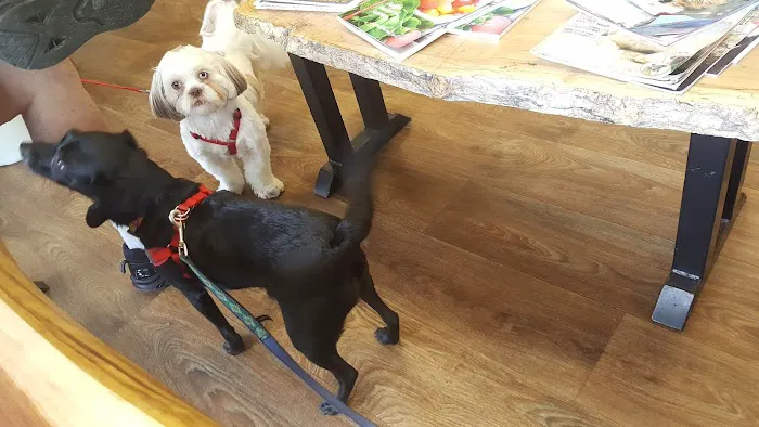 Avery Animal Hospital 1
