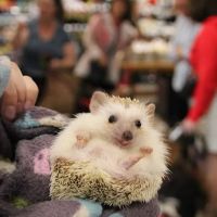 Chuck & Don's Pet Food & Supplies ico