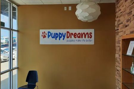 Puppy Dreams - West Wichita