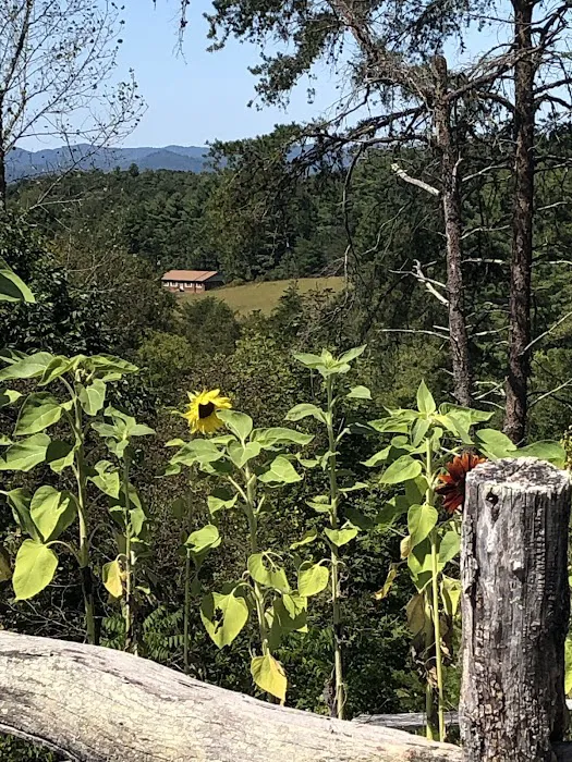 Broad River Animal Hospital 7