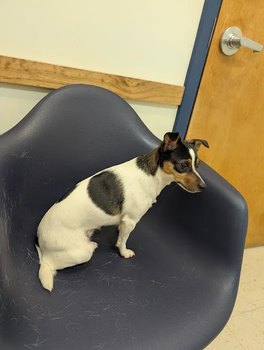 Broad River Animal Hospital 4