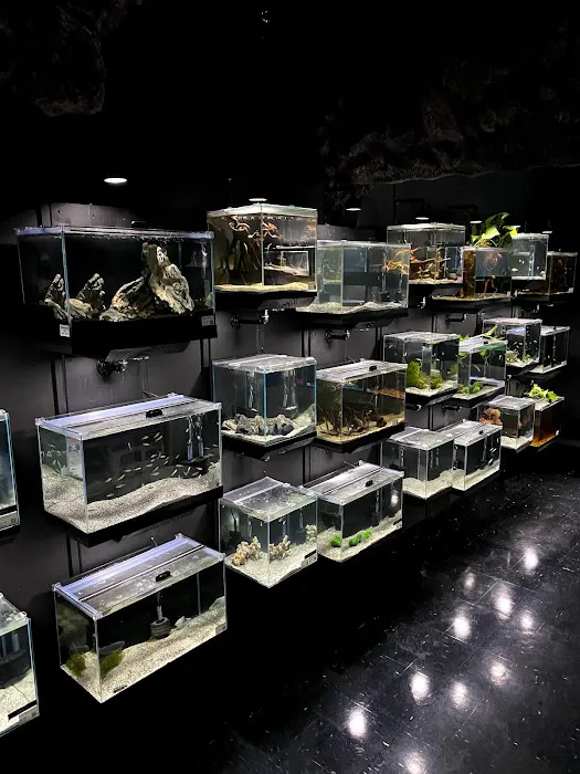 Exotic Pets 12