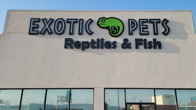 Exotic Pets 12