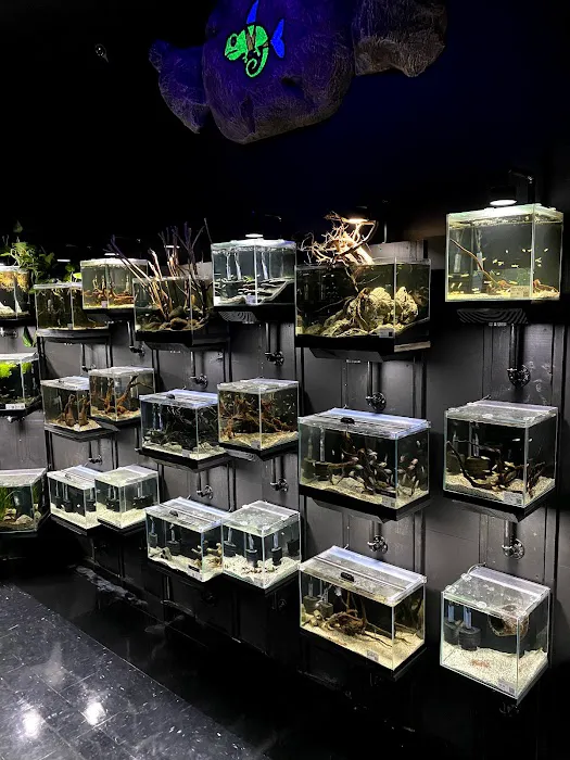 Exotic Pets 12