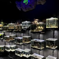 Exotic Pets ico