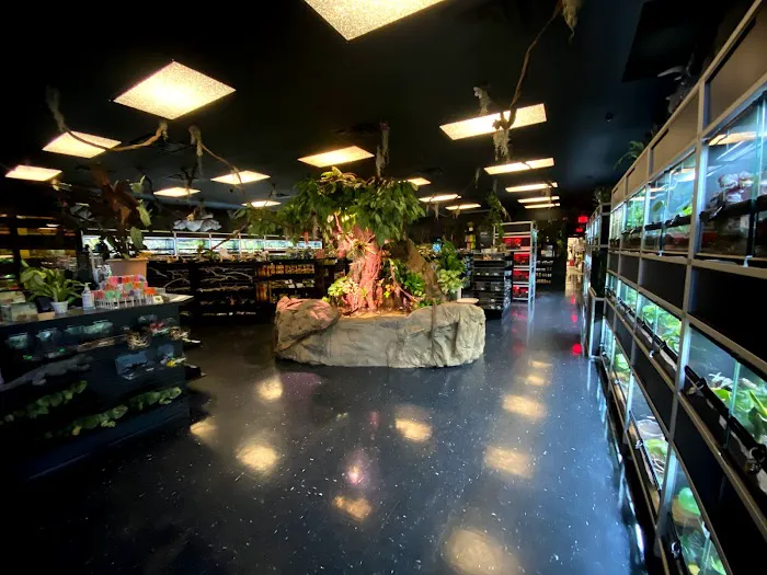 Exotic Pets 12